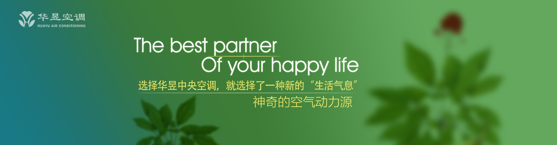 可有可无网